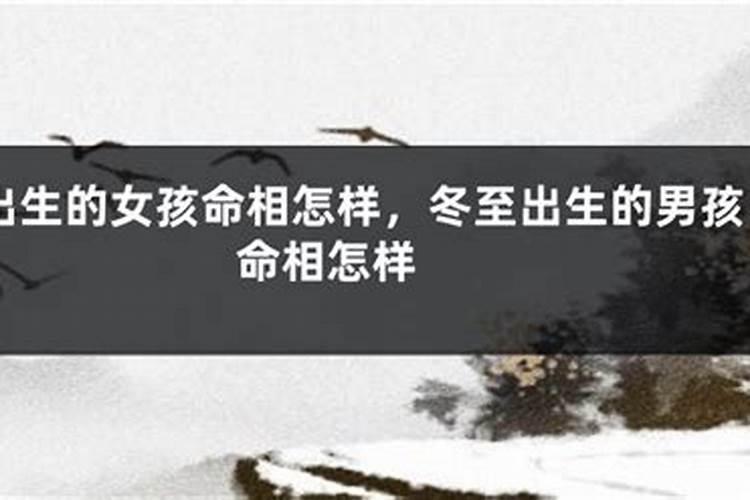 冬至出生的命