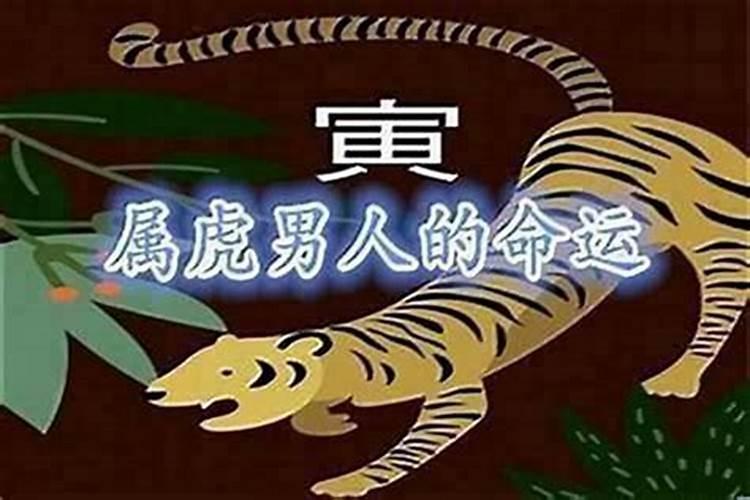 属虎的可以在本命年装修房子吗？
