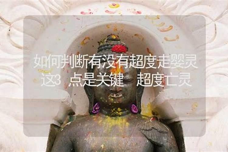 怎样知道婴灵有没有被超度？