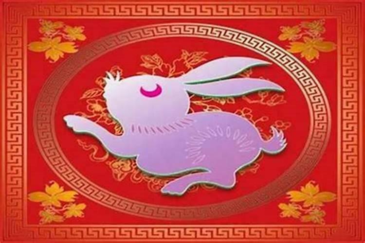 本命年能结婚吗属兔？