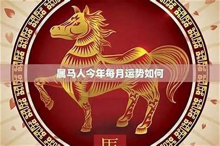 属马的月份出生运程