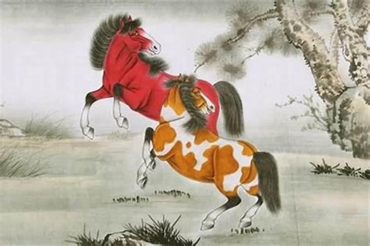 属马的明年运势怎样？