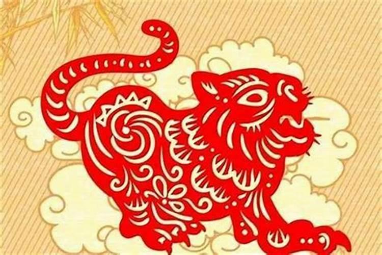 属虎的人犯太岁那些年