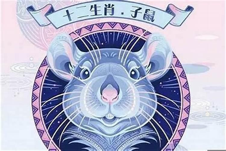 生肖鼠一生的运势如何？