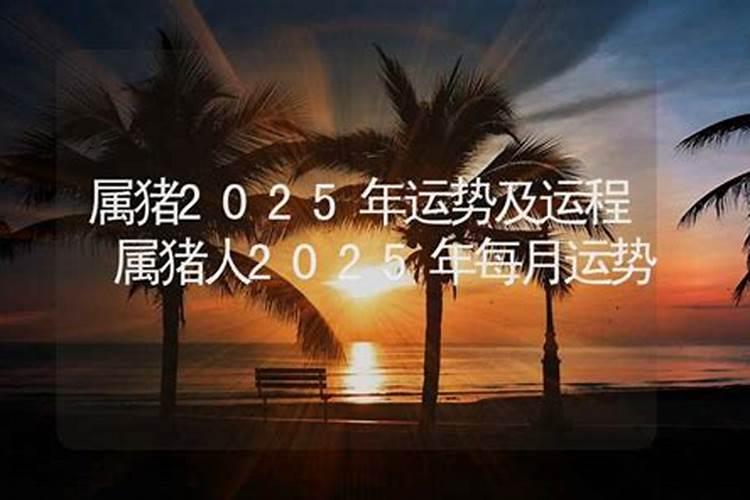 2025属猪9月份运势如何？