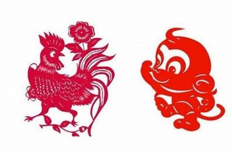 会飞的生肖有哪几个肖呢？