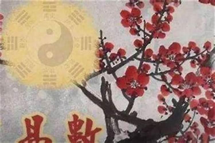 梅花易数算姻缘可信吗？