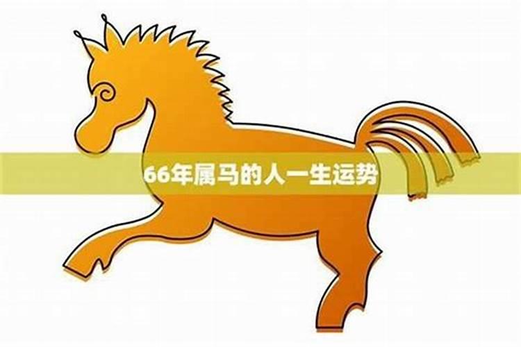 农历8月属马运势如何？