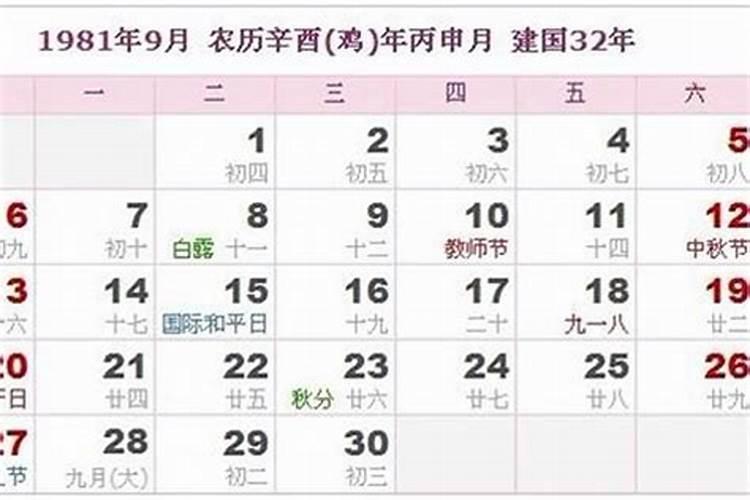 1981年农历七月出生的运程