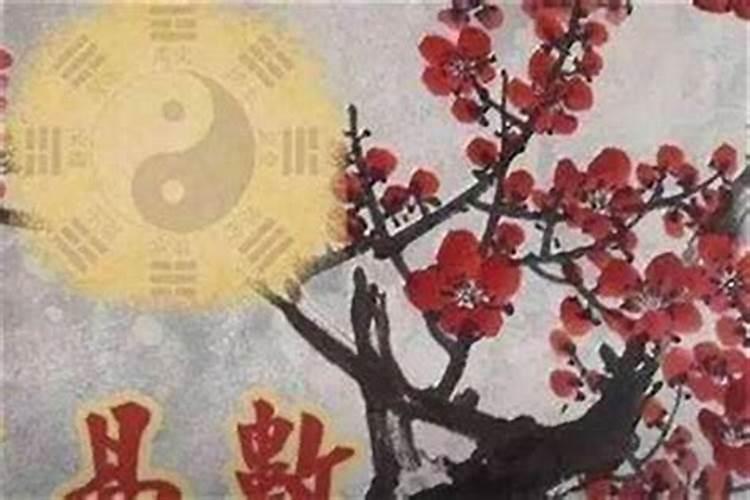 梅花易数怎么算姻缘？