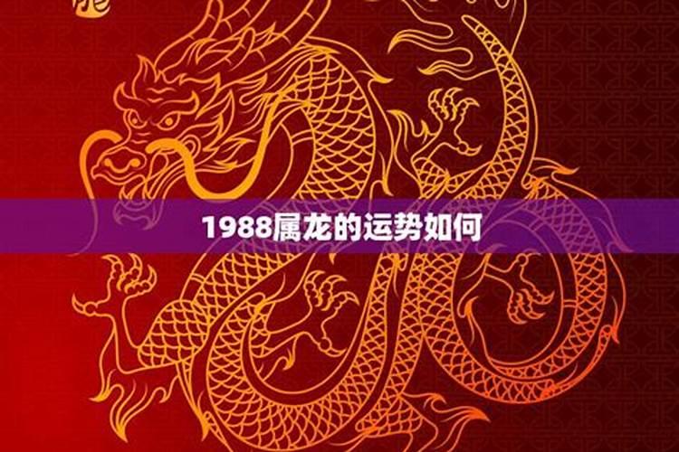 1988年属龙12月运势怎么样？