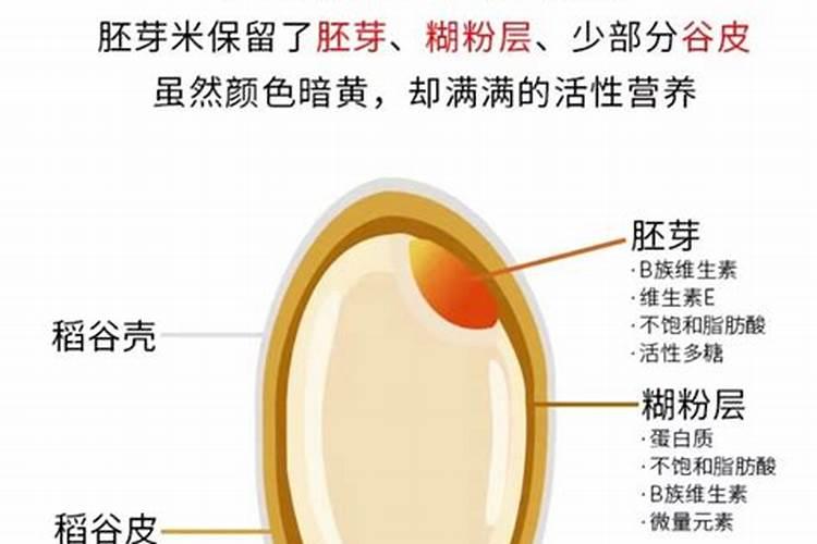没有胚胎胚芽是阴债吗？