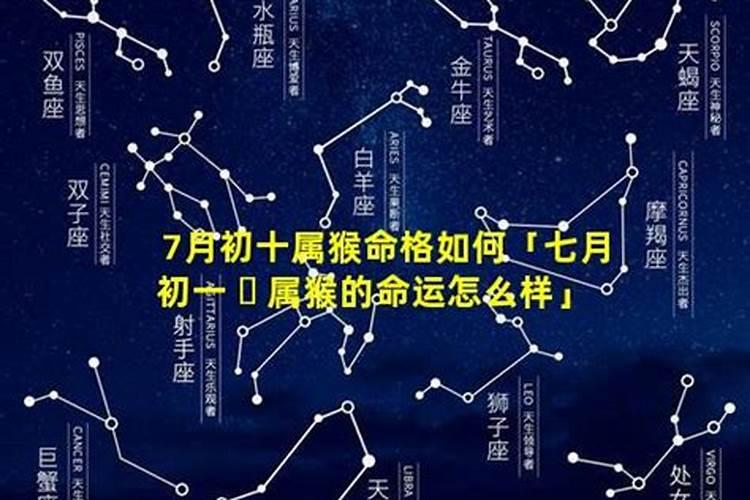 十月初一出生的属相猴