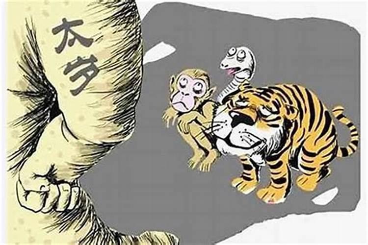 太岁为什么不能养？