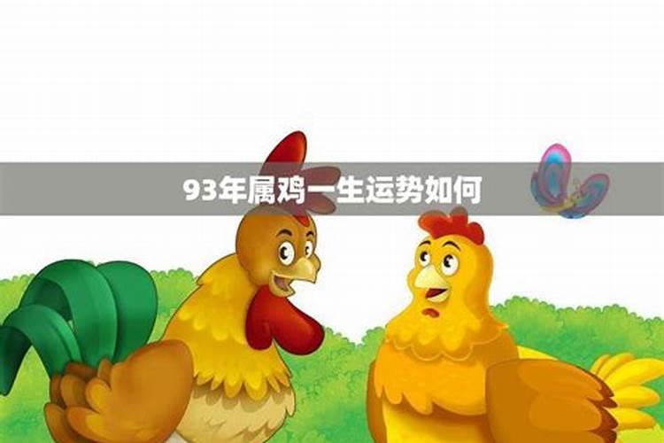 93属鸡一生的运程