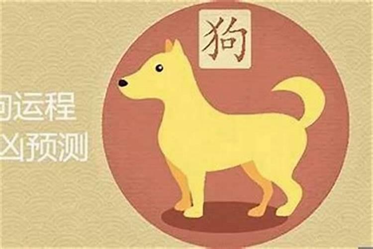 农历5月属狗运势如何？