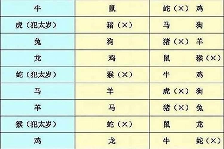 2013年蛇年犯太岁的属相