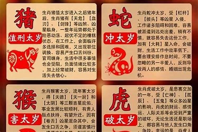兔什么时候犯太岁？