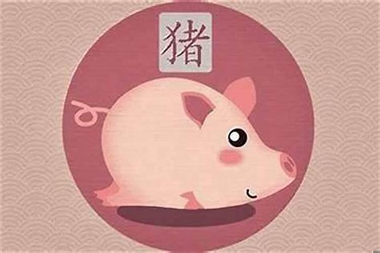 属猪的12个月出生运程
