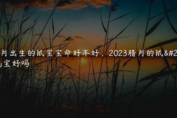 1972年女鼠腊月出生