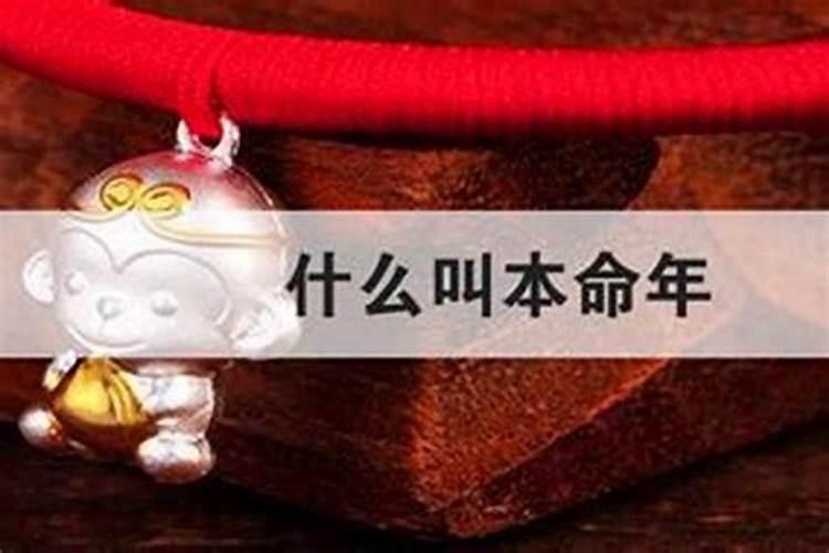 什么叫本命年怎么说？
