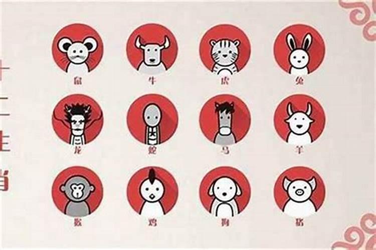 羊跟猪的八字会不会有不合？