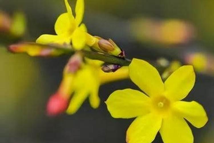 桃花煞影响大吗？