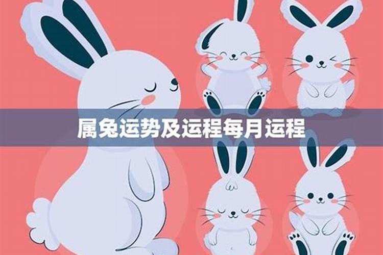 属兔一生命运兔的运程