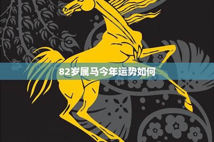 41岁的马今年运势