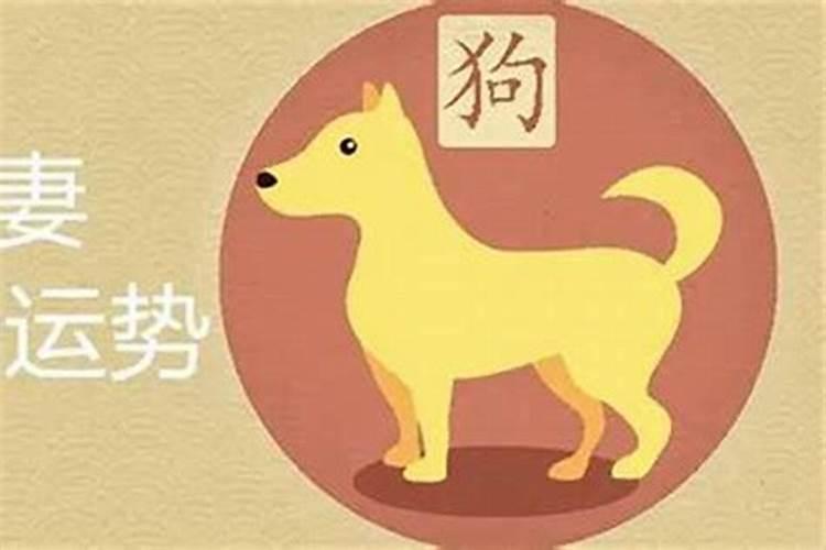 属相狗男和属相猪女合婚吗？