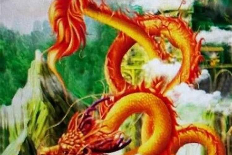 属相龙虎婚配好吗？