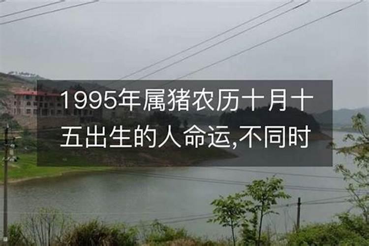 1995年十月初一命运