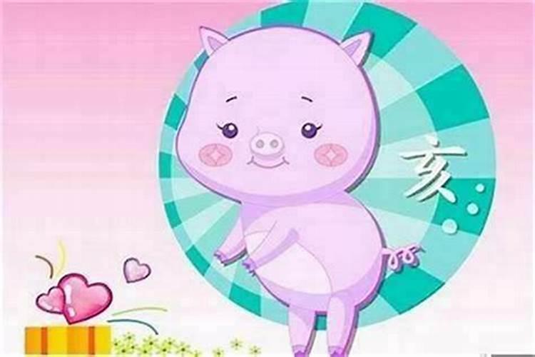 兔子女和猪女合婚吗？