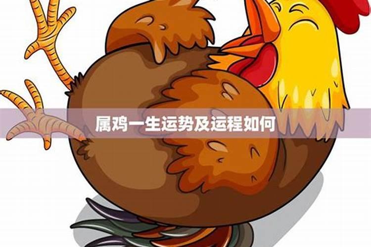 属鸡人一生运势运程如何？