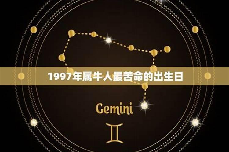 97年阴历2月初6出生的属牛运势