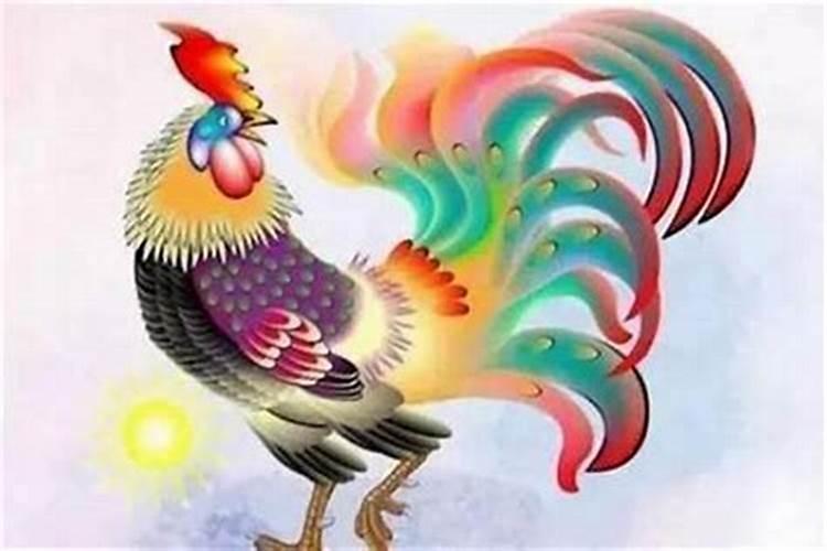 九月初九属鸡的人命运如何？