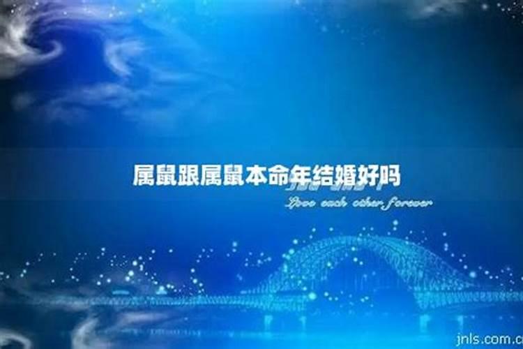 属鼠本命年结婚好吗？