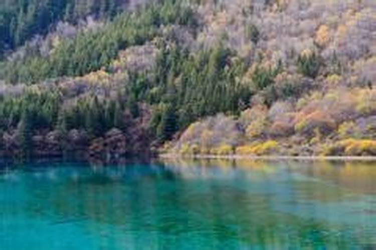 梦到宁静的湖水是什么意思？