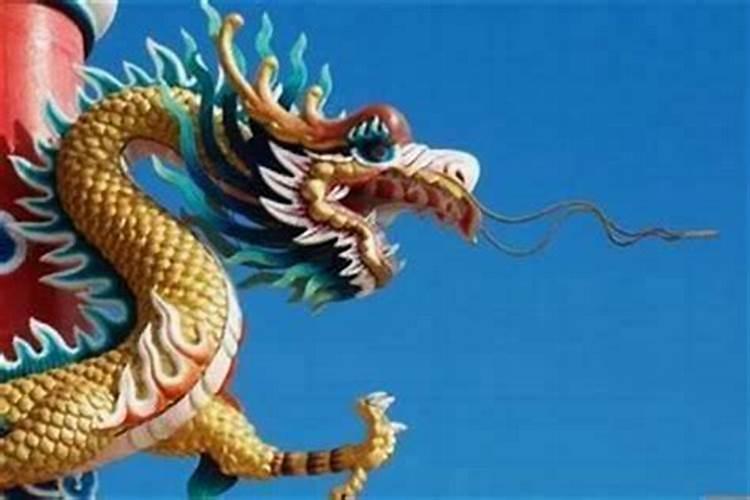 属龙和属鸡合婚吗？
