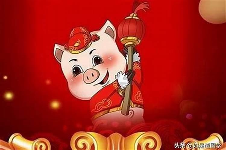 鼠年属猪运势如何？