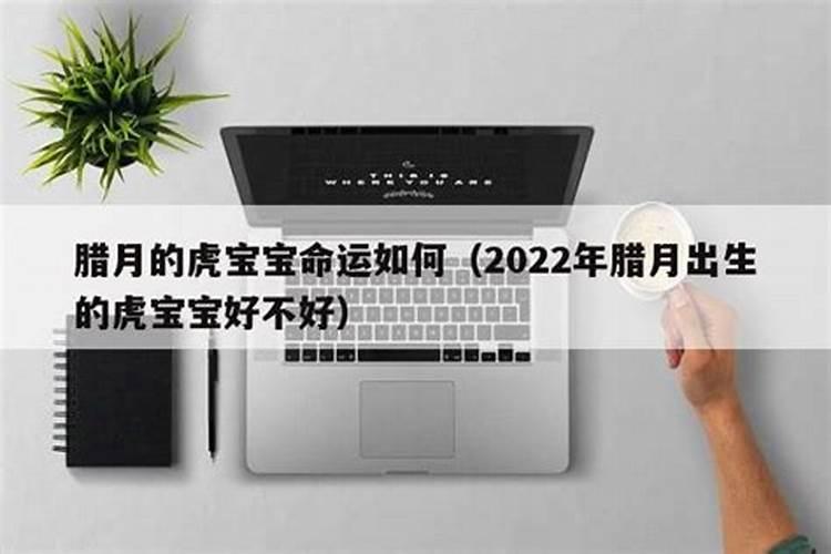 2025腊月的虎宝宝命运