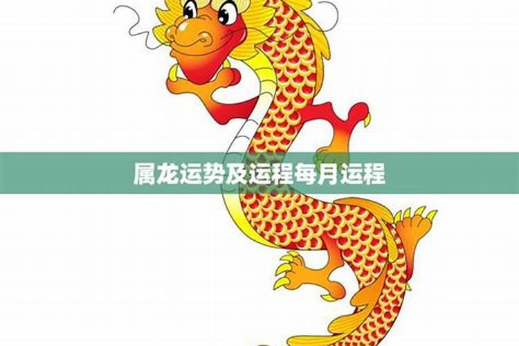 属龙人2025年运势月份