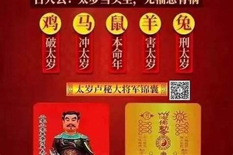 属老鼠的和什么犯太岁？