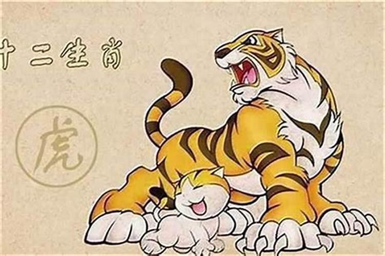 本命年结婚冲喜吗属虎女？