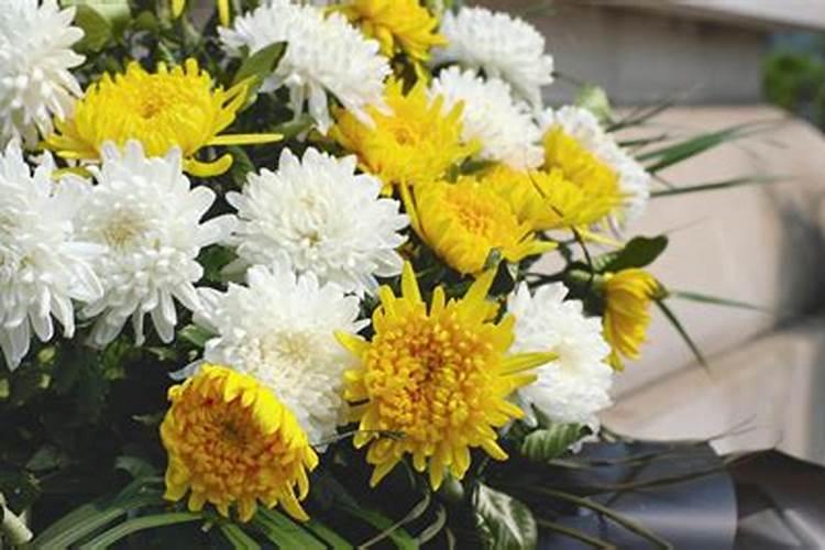 清明节祭逝