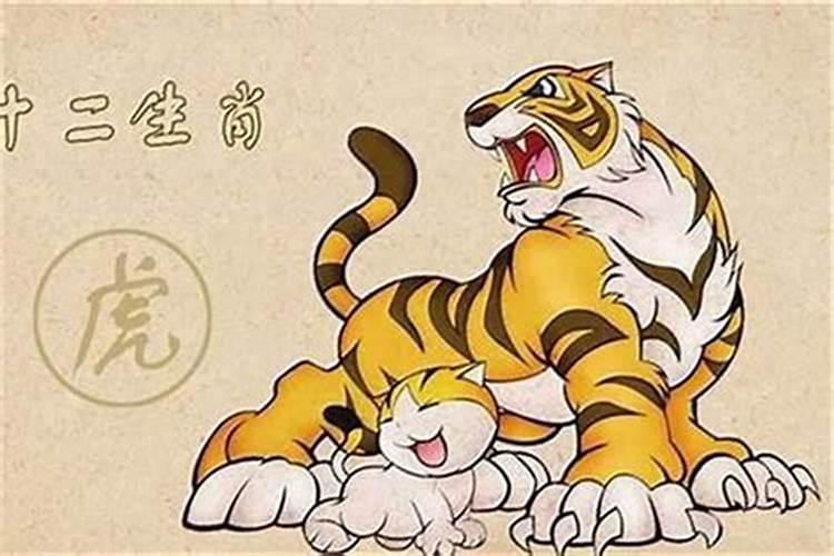 男女都是属虎的合婚吗？