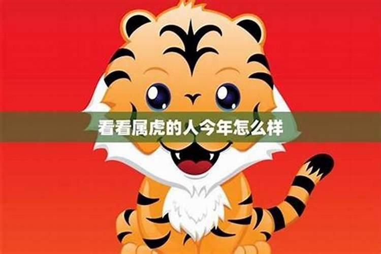 肖狗和肖虎今年运势