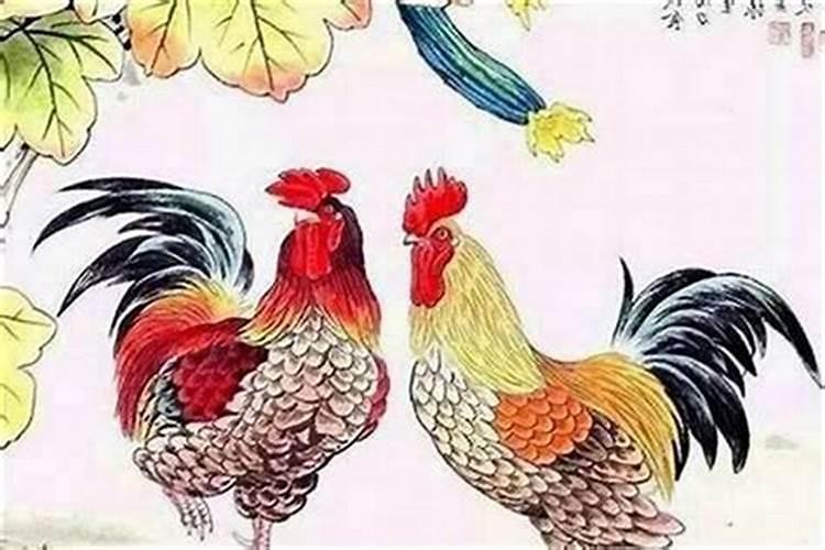 属鸡的与什么属相婚配最好？
