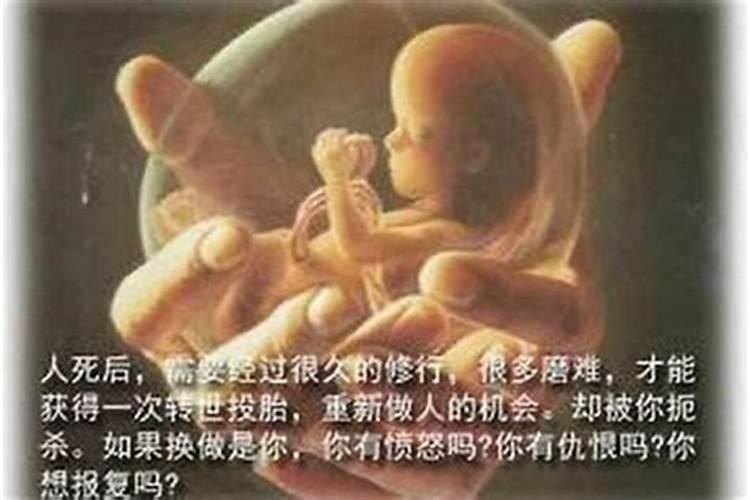 怎样给堕胎的婴灵回向？