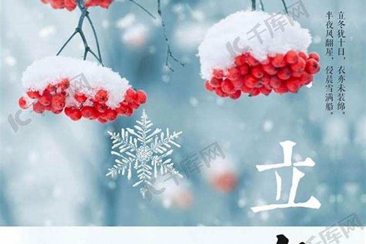 24节气之立冬冬天动物都去哪了？